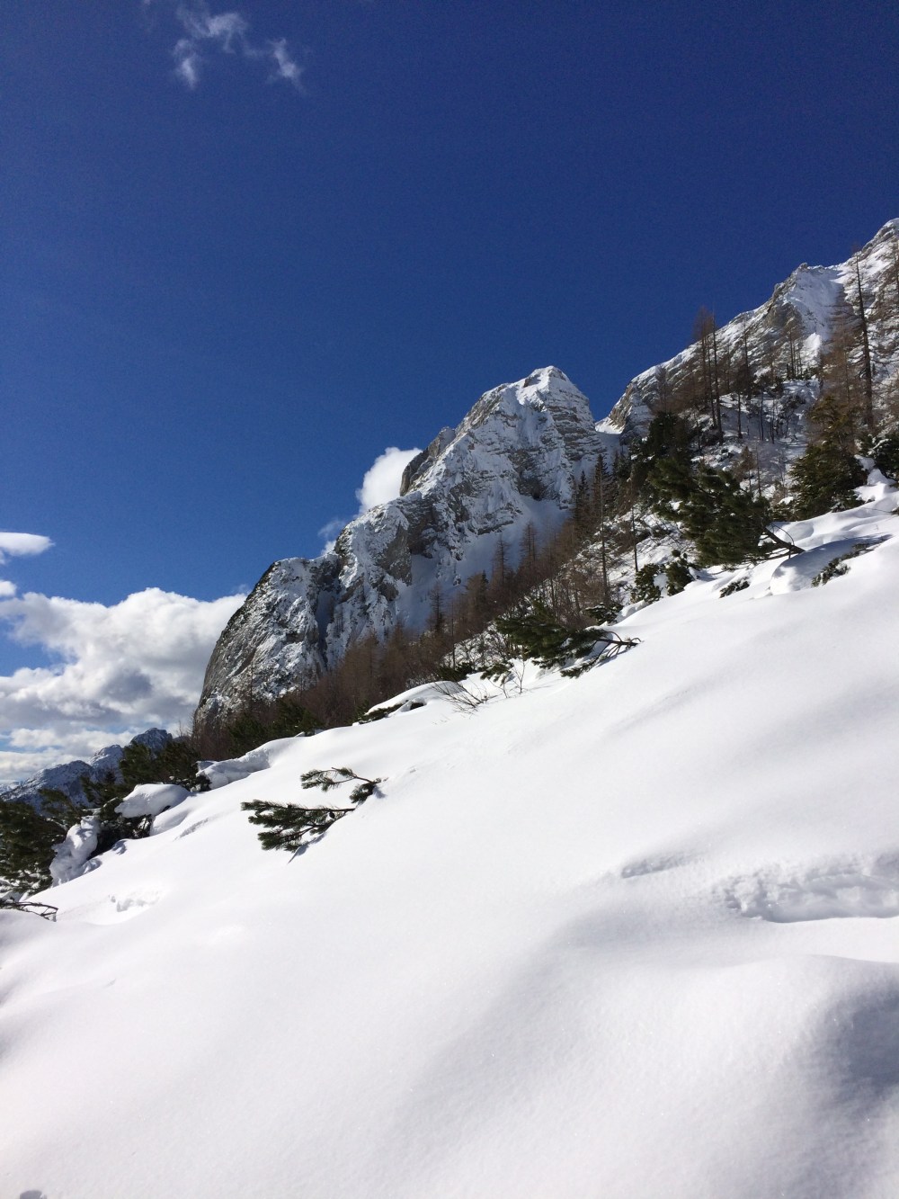 photo-18-02-2017-10-45-20