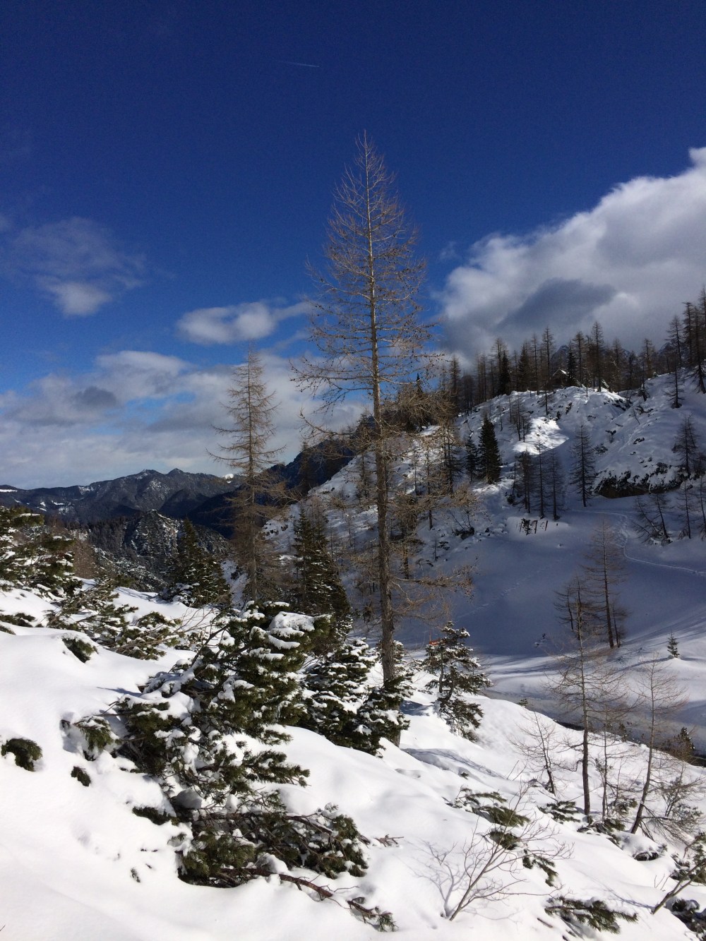 photo-18-02-2017-10-45-30