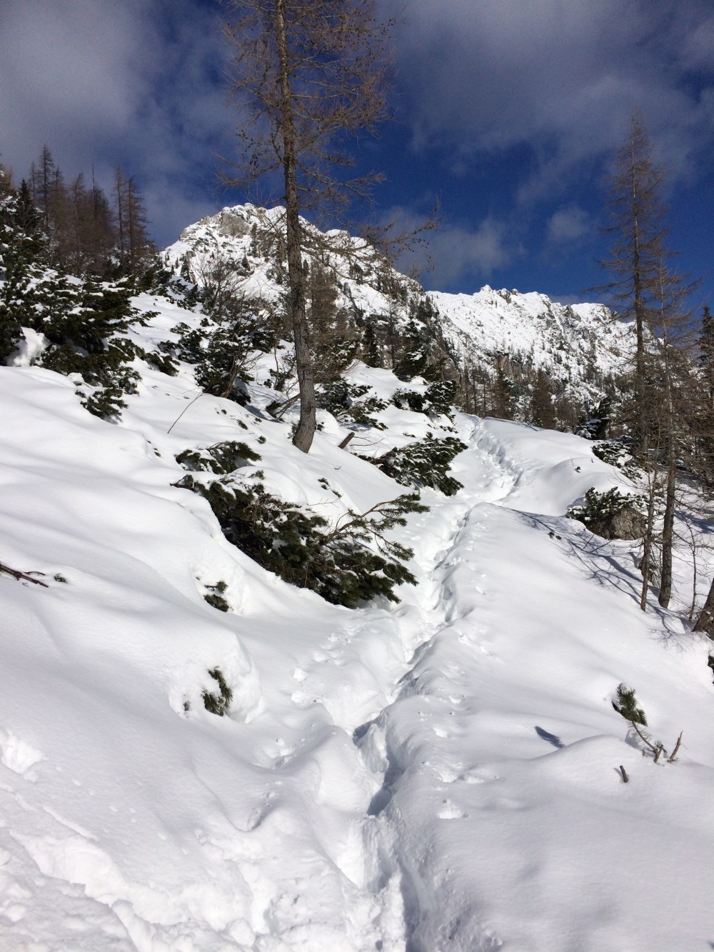 photo-18-02-2017-10-48-00