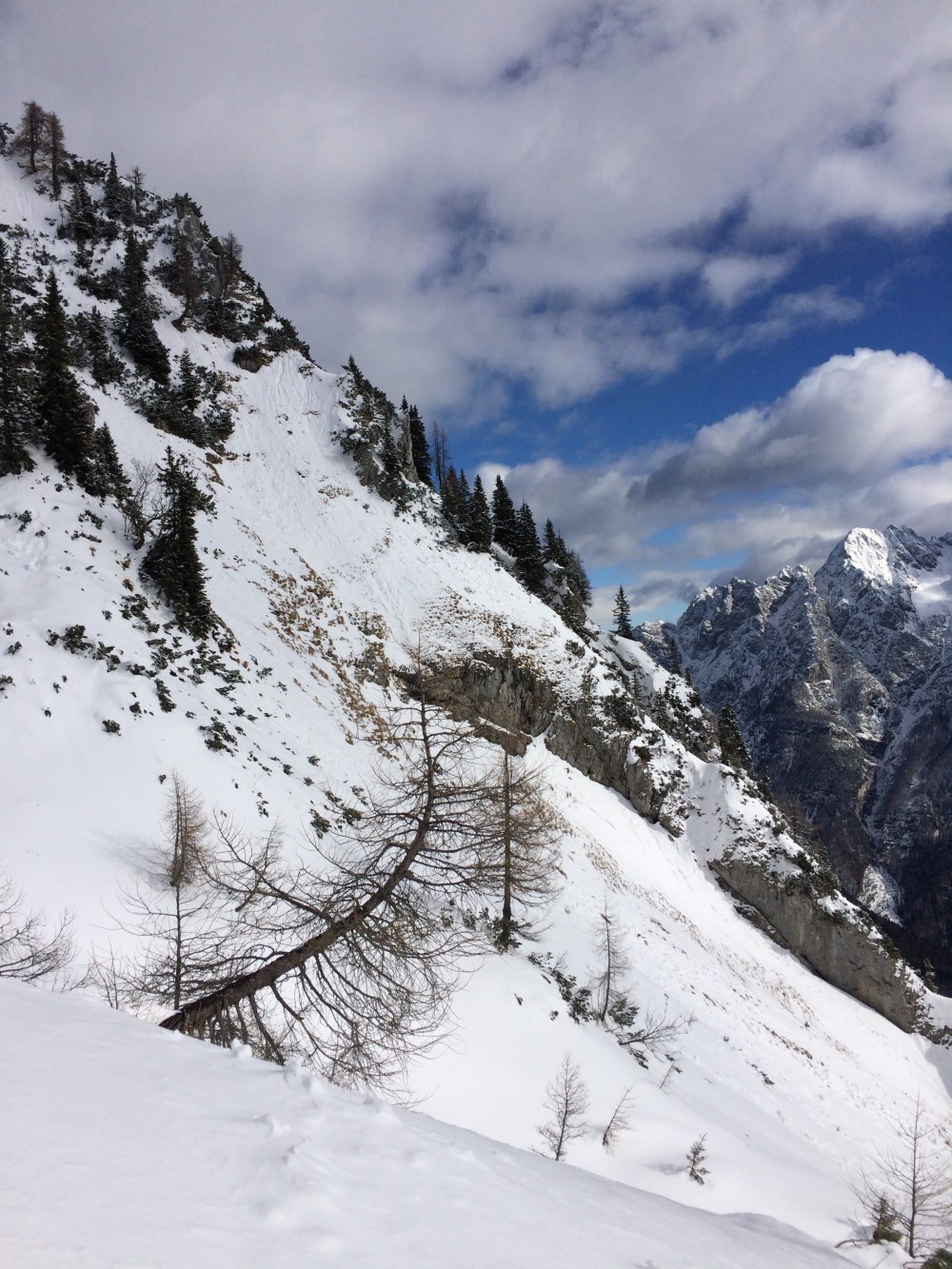 photo-18-02-2017-11-18-14