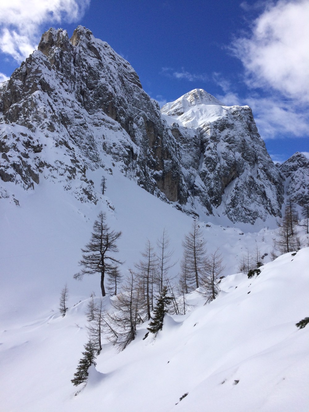 photo-18-02-2017-11-32-02