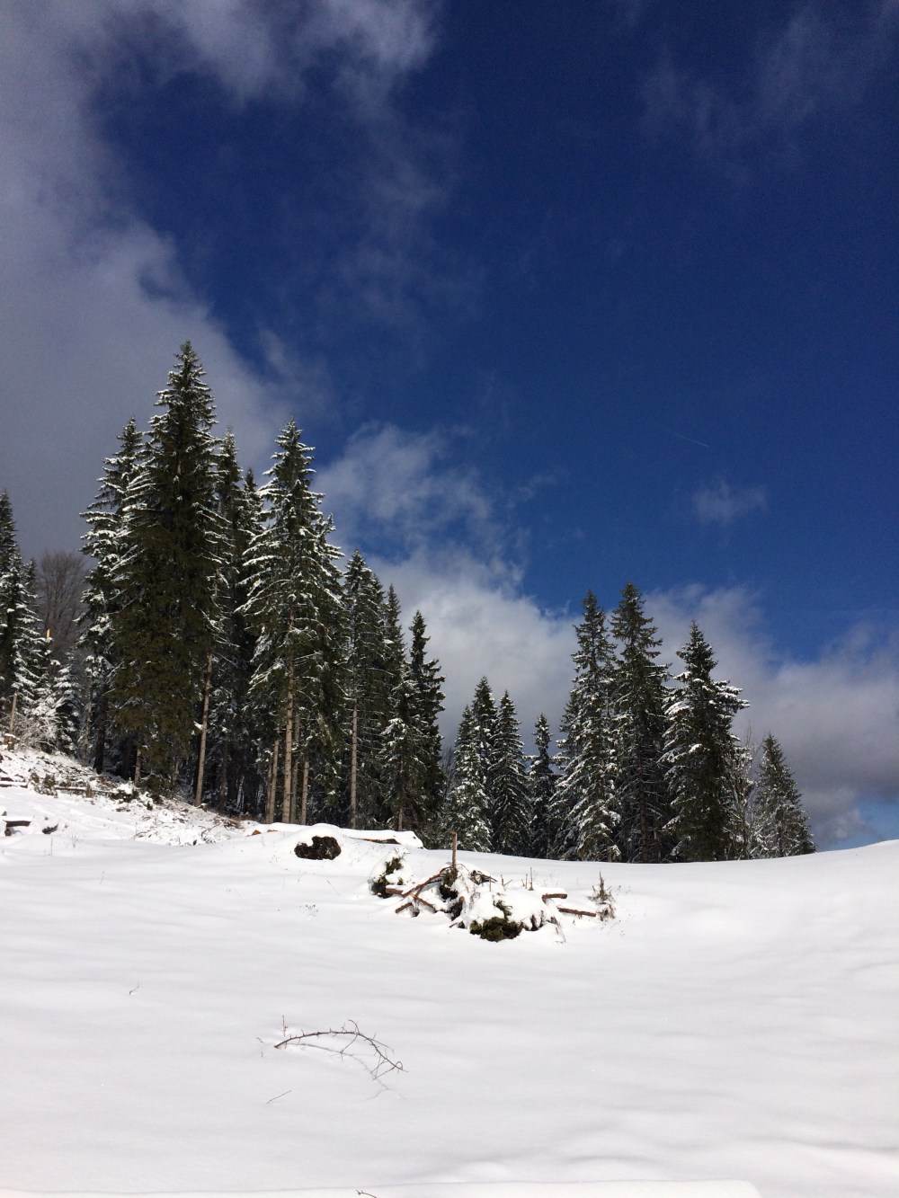 photo-25-02-2017-11-28-57