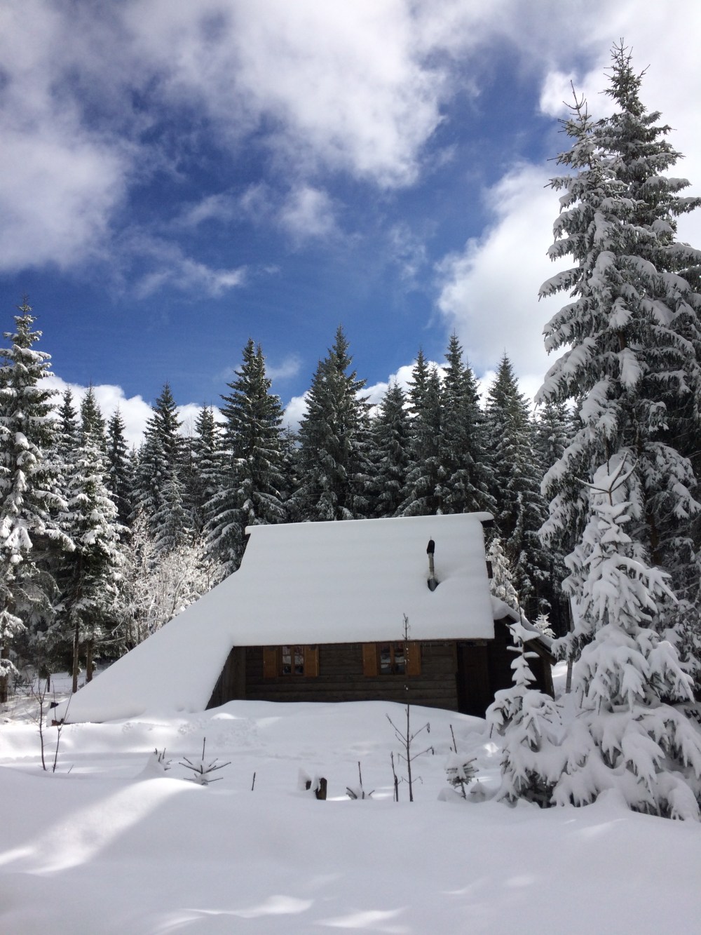 photo-25-02-2017-11-49-40