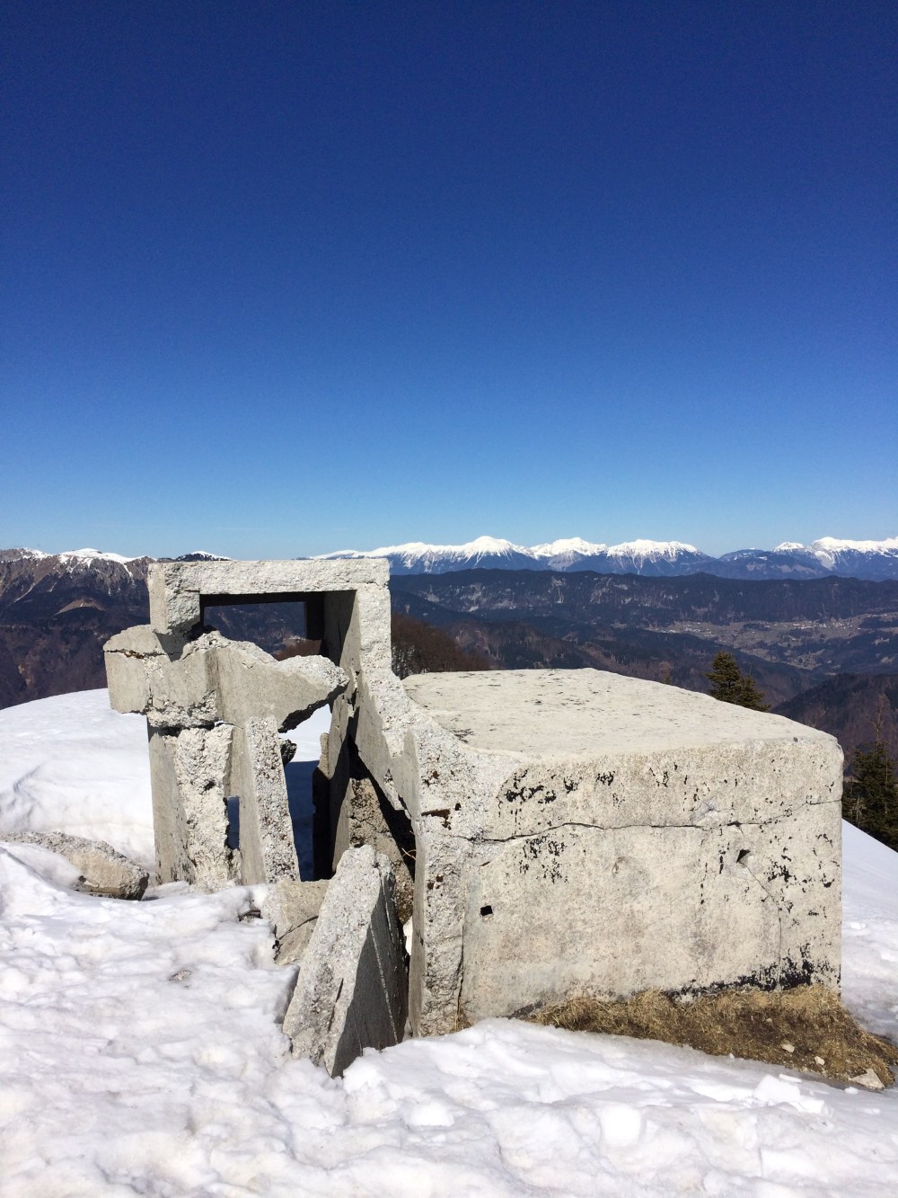 Photo 11-03-2017, 13 00 25