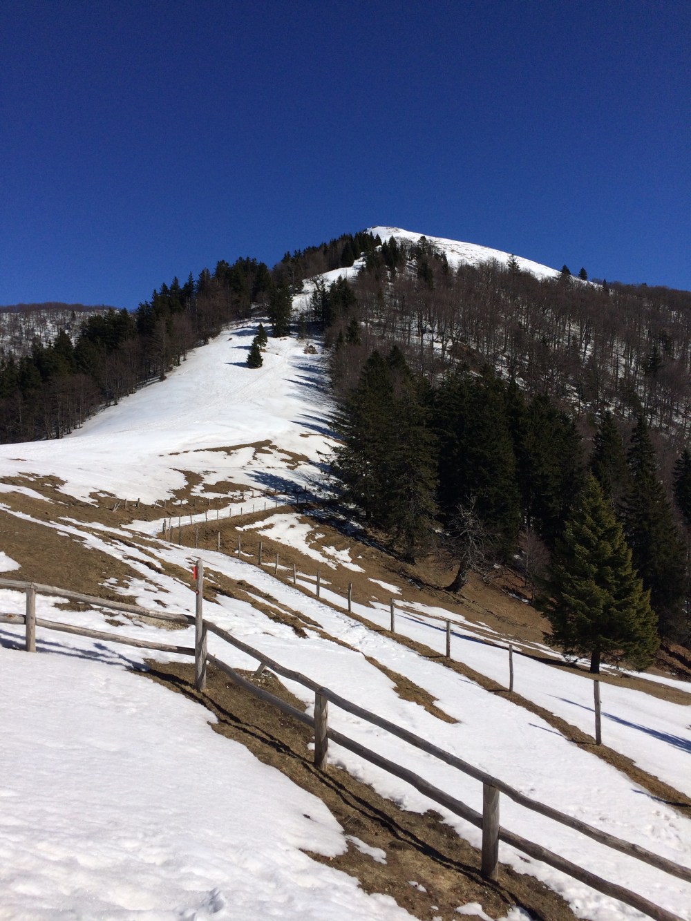 Photo 11-03-2017, 13 46 39