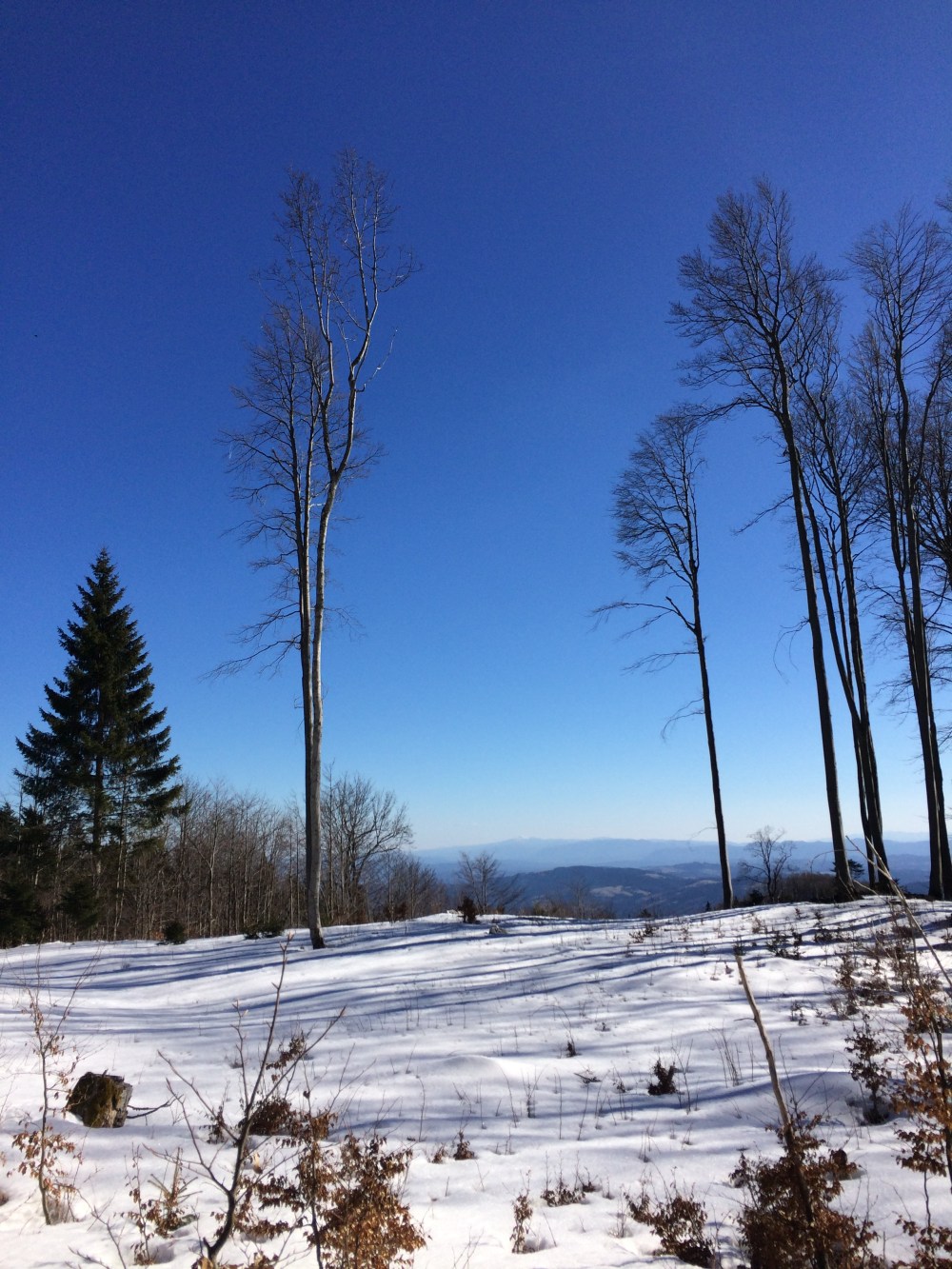 Photo 11-03-2017, 14 41 32