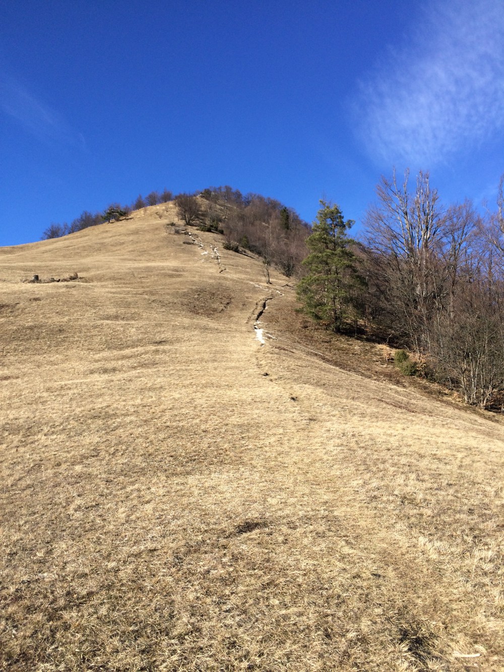 Photo 11-03-2017, 15 46 05