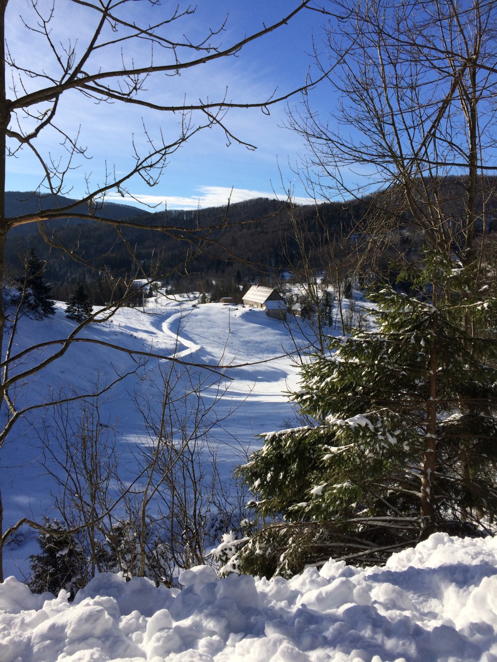 Photo 15-01-2017, 09 47 31