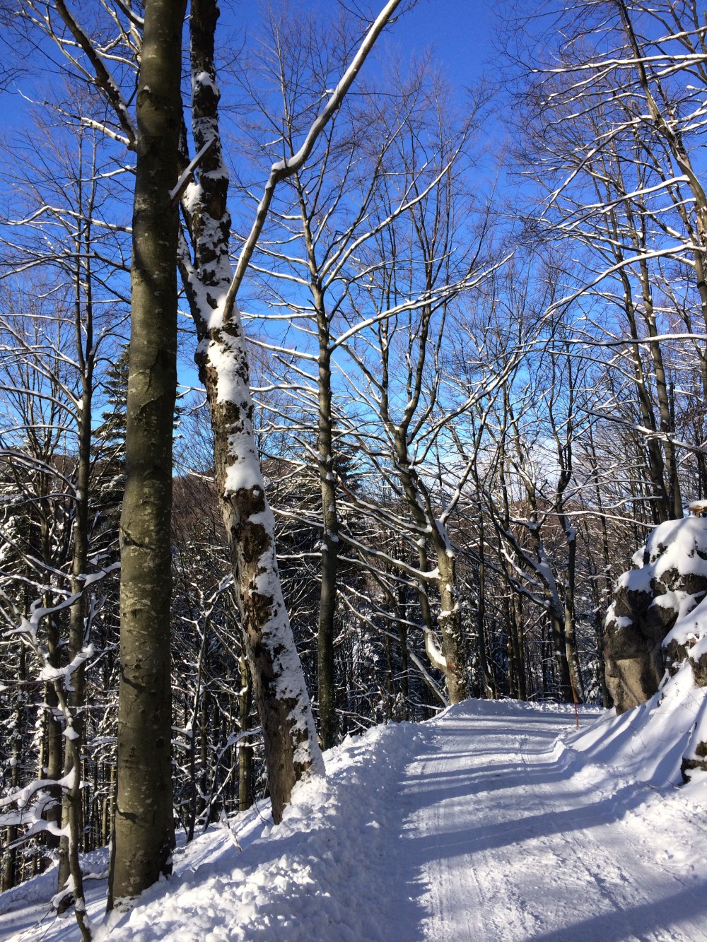 Photo 15-01-2017, 10 02 05