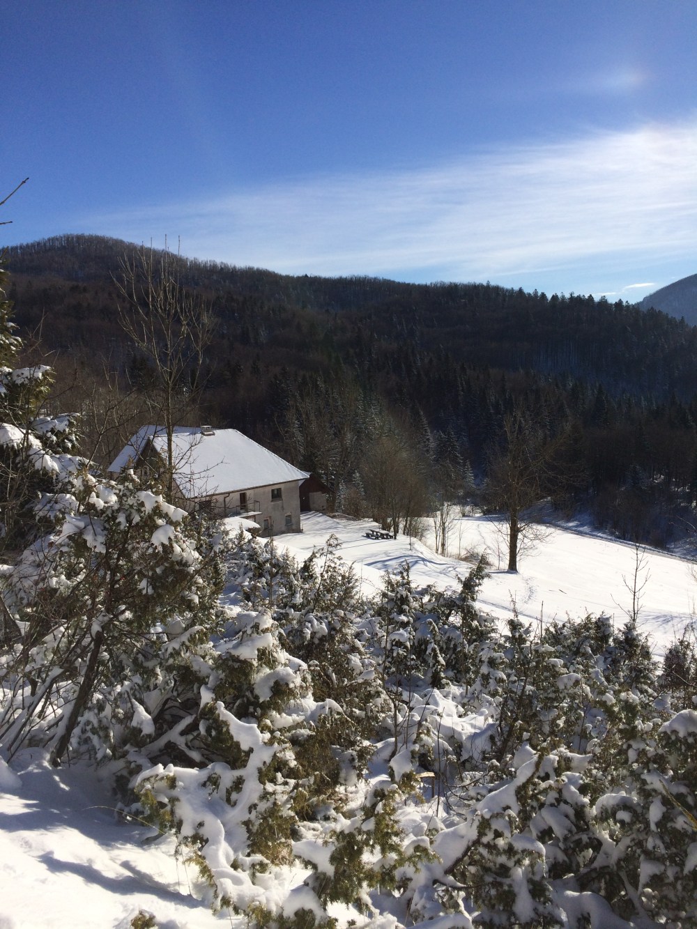 Photo 15-01-2017, 10 06 47