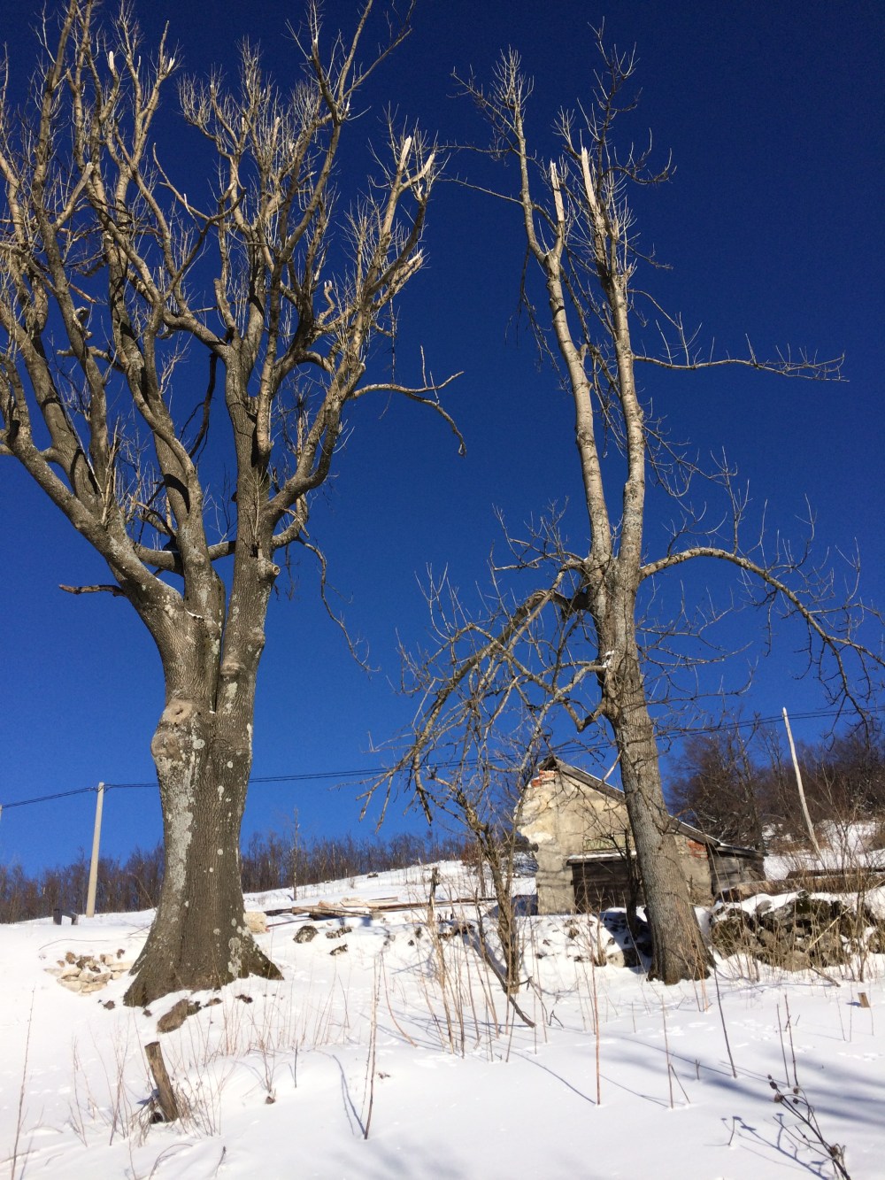 Photo 15-01-2017, 10 17 57