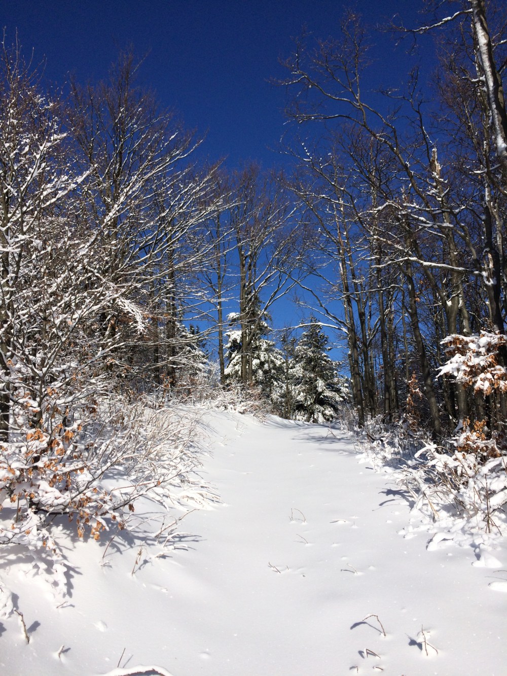 Photo 15-01-2017, 10 45 54