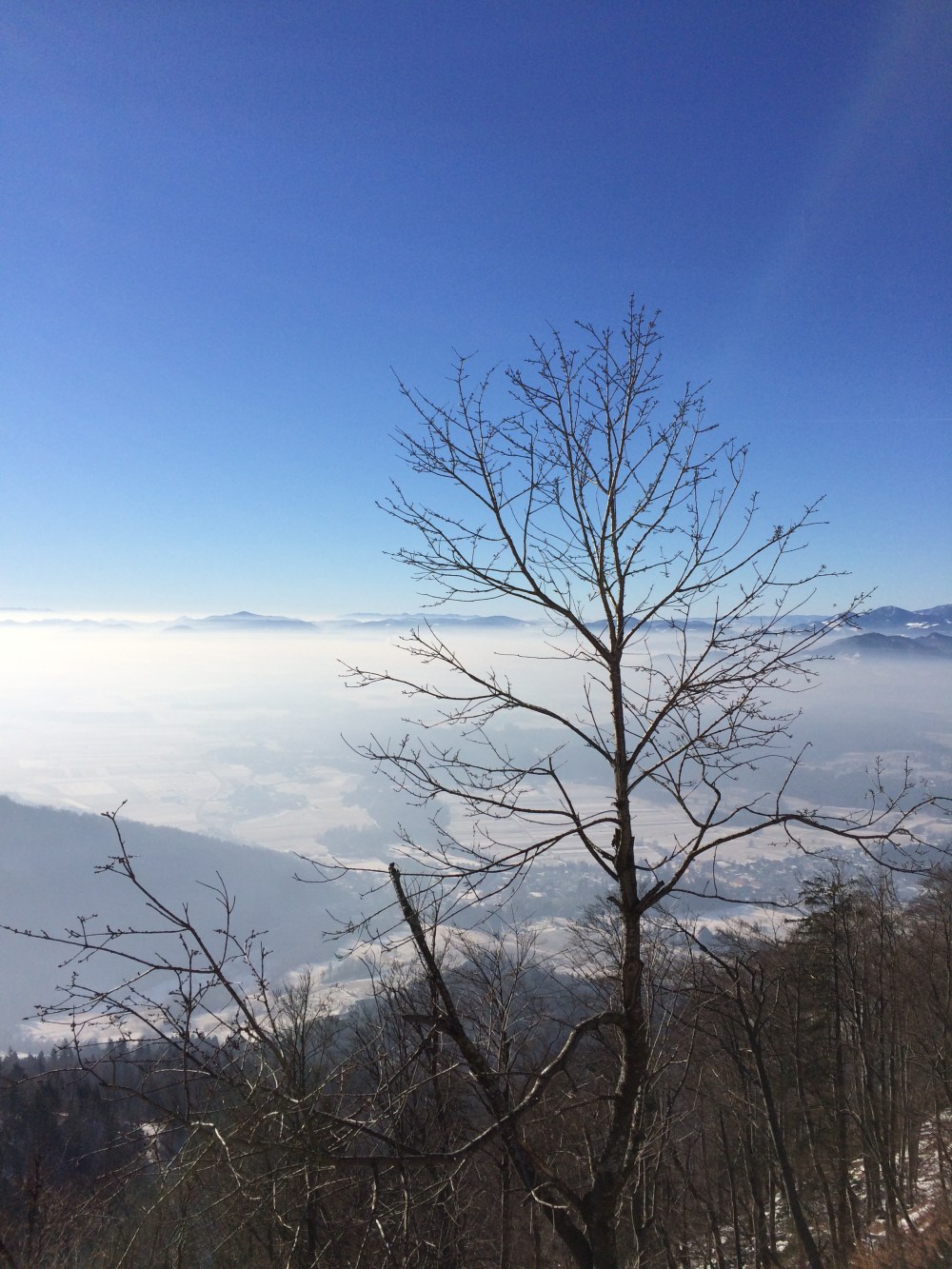 Photo 21-01-2017, 11 11 18