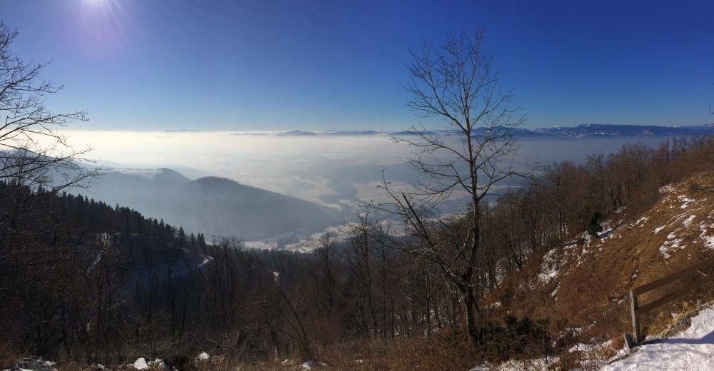 Photo 21-01-2017, 11 11 52