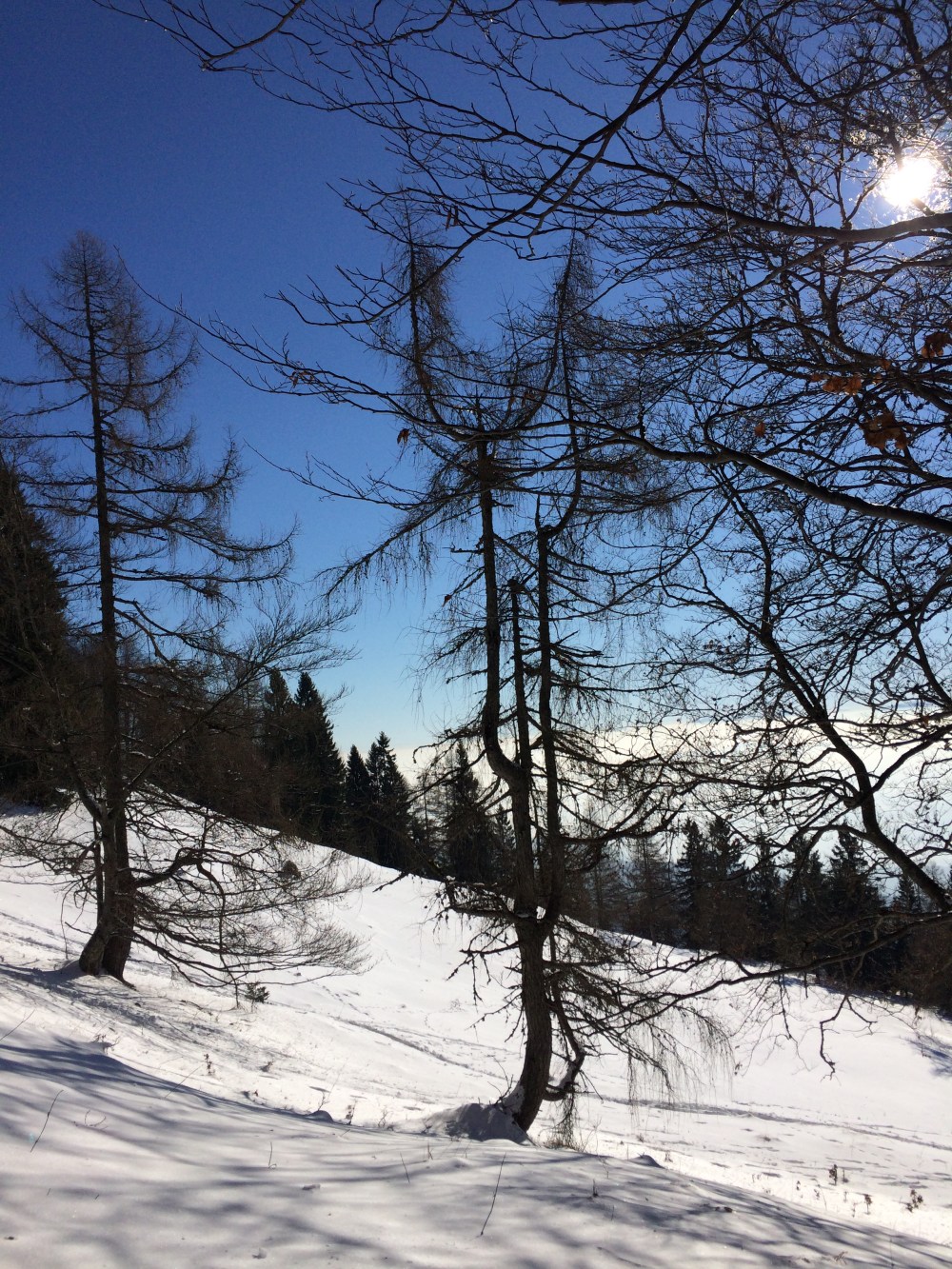 Photo 21-01-2017, 11 58 42