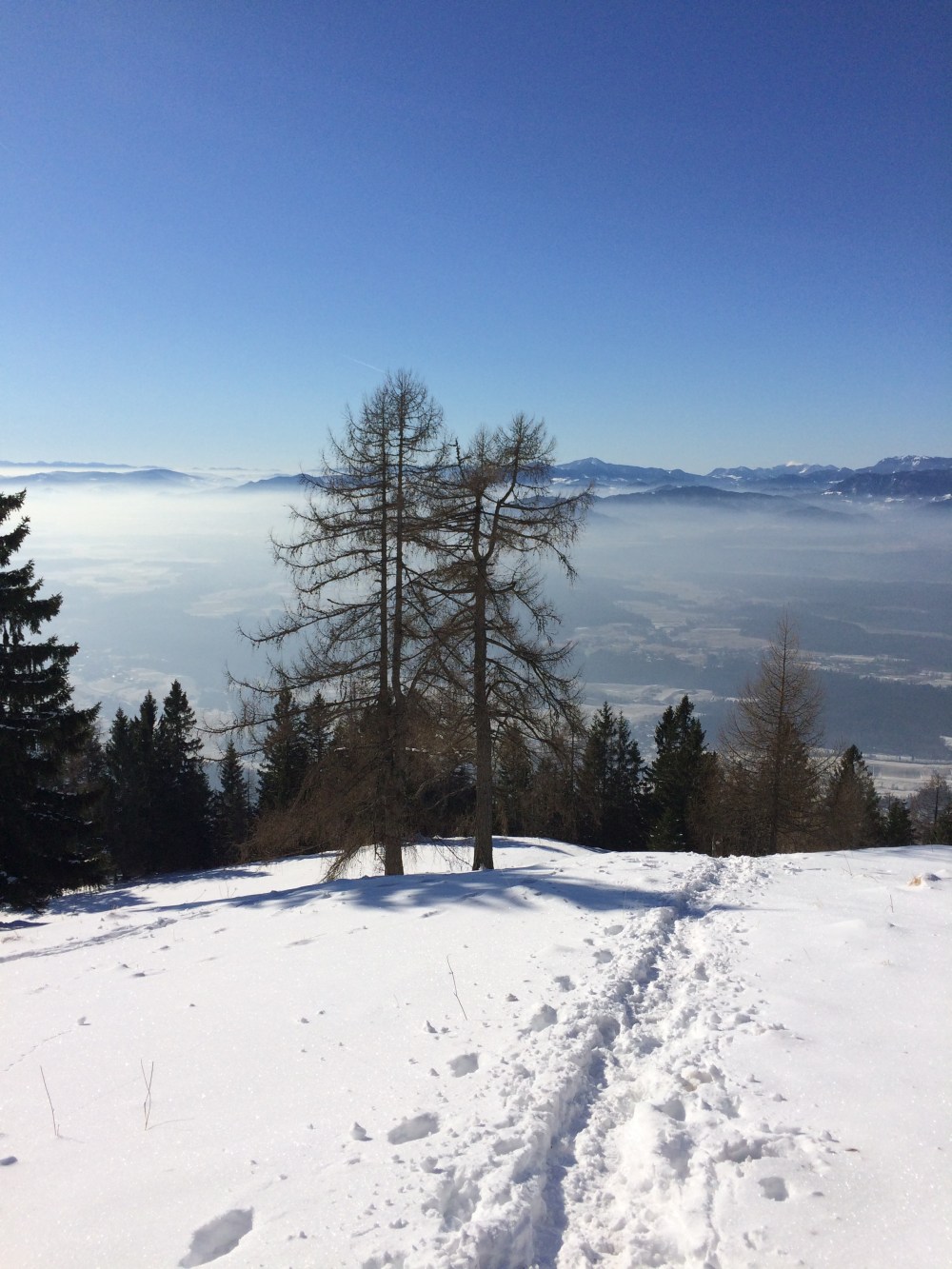 Photo 21-01-2017, 12 27 42