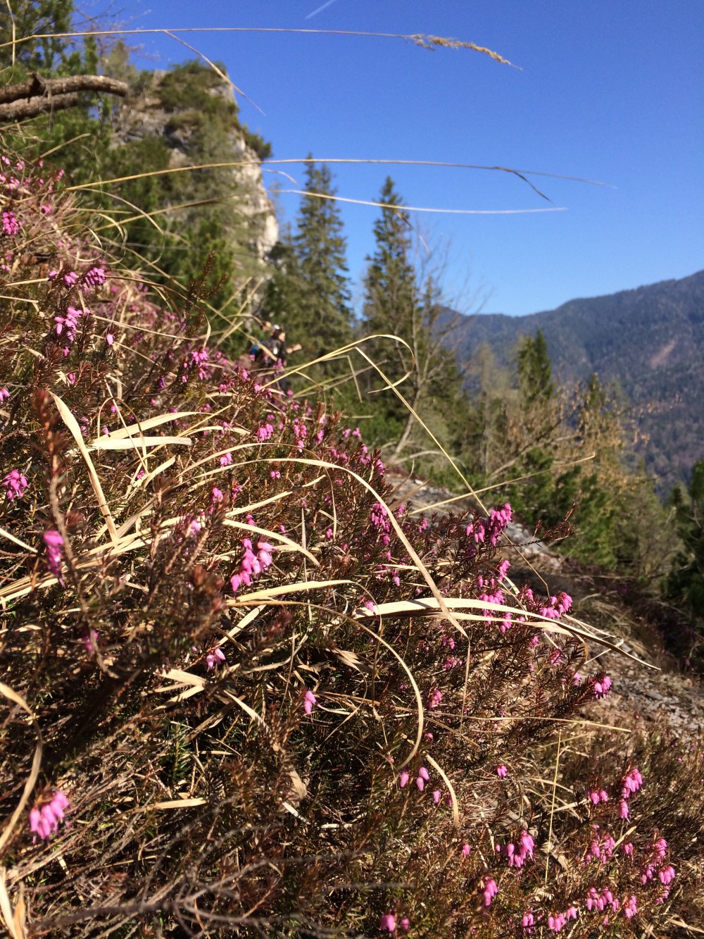 Photo 09-04-2017, 10 12 13