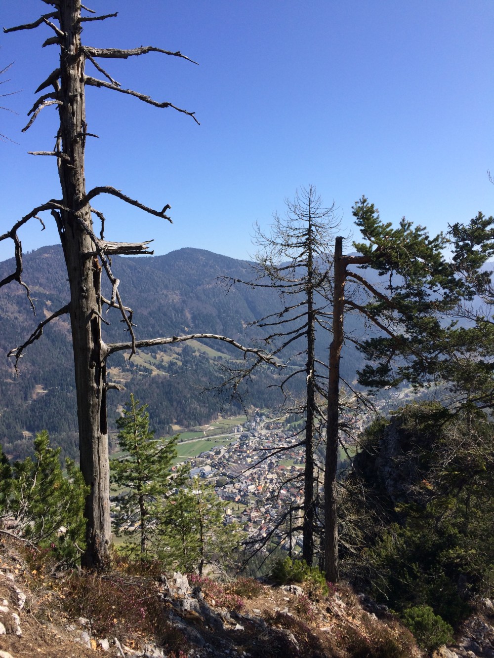 Photo 09-04-2017, 10 50 55