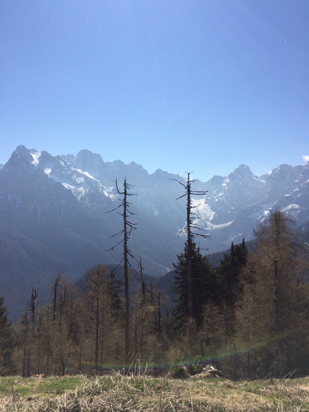 Photo 09-04-2017, 11 20 18