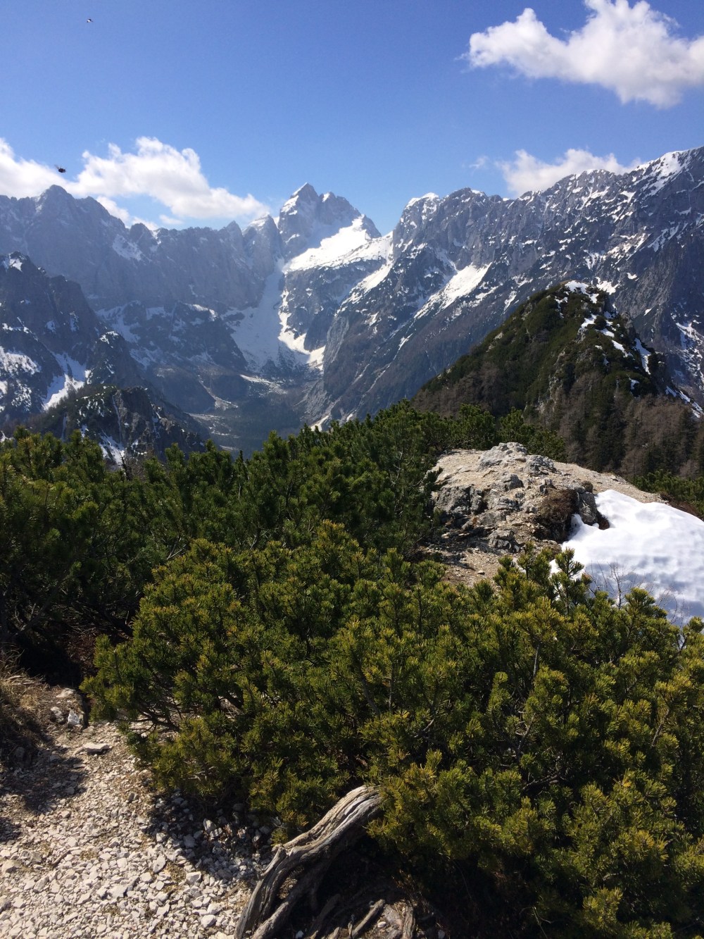 Photo 09-04-2017, 12 56 13