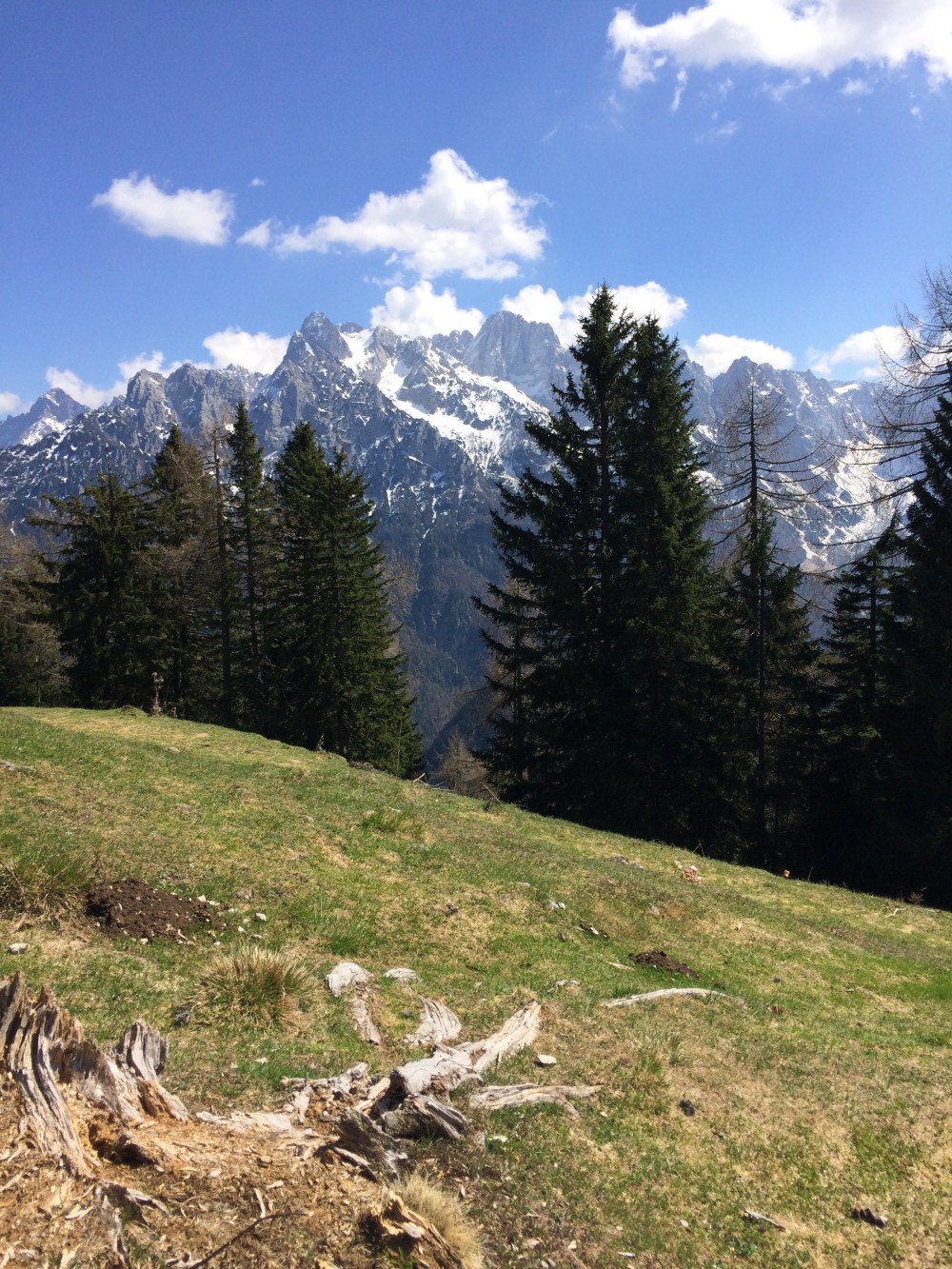 Photo 09-04-2017, 13 50 32