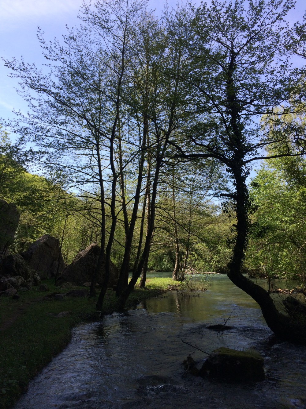 Photo 01-05-2017, 14 54 26