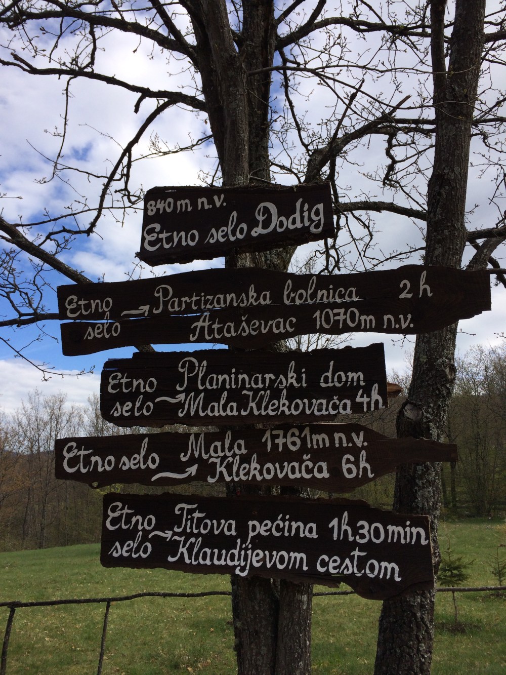 Photo 02-05-2017, 10 03 04