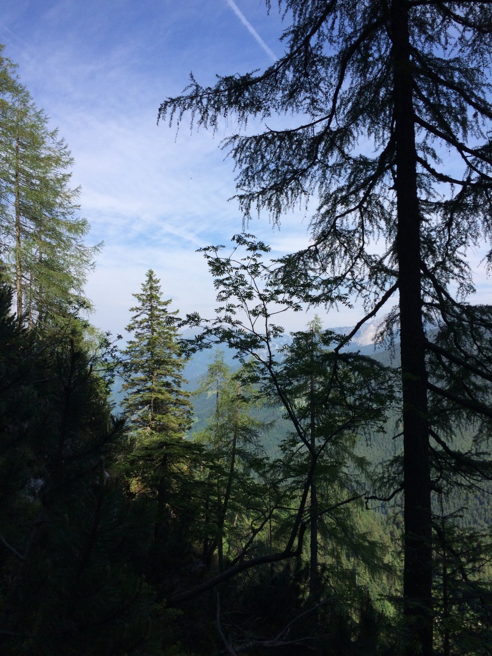 Photo 04-06-2017, 09 31 22