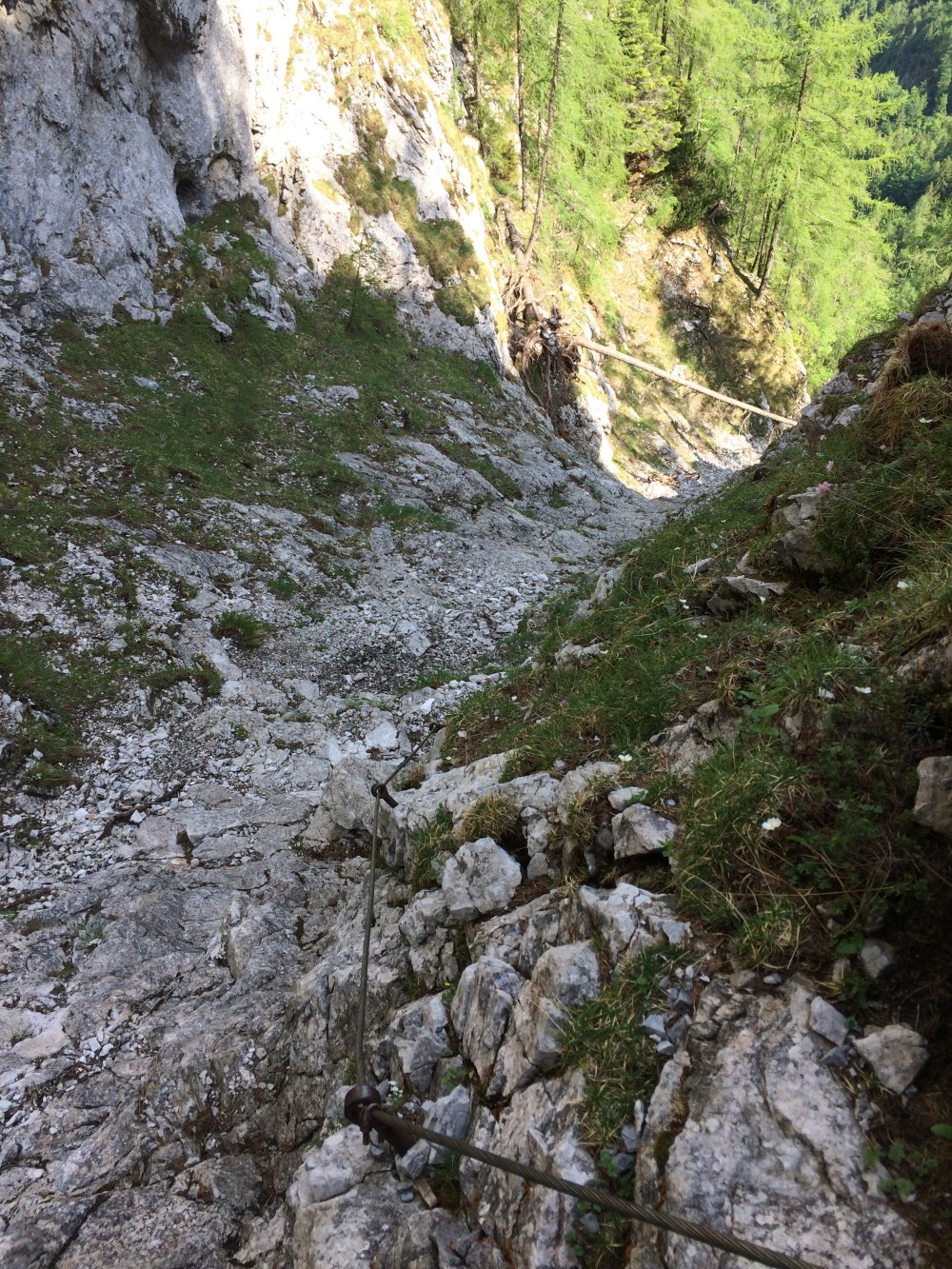 Photo 04-06-2017, 09 58 27