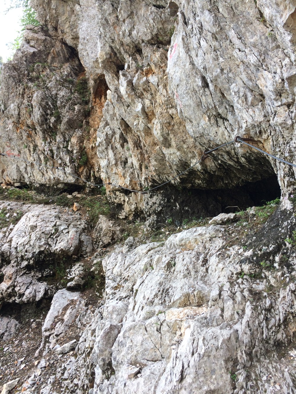 Photo 04-06-2017, 10 11 36