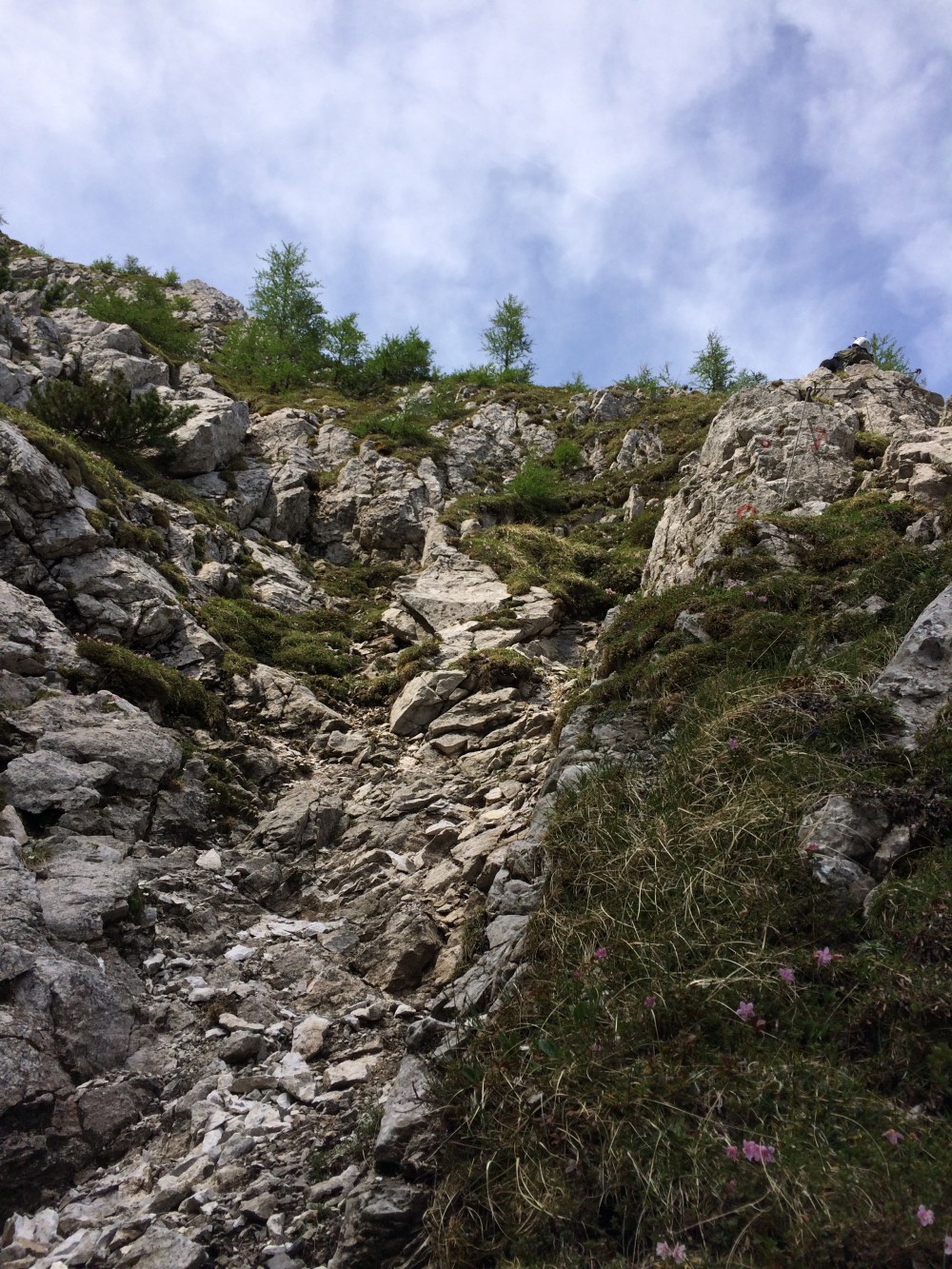 Photo 04-06-2017, 10 29 14