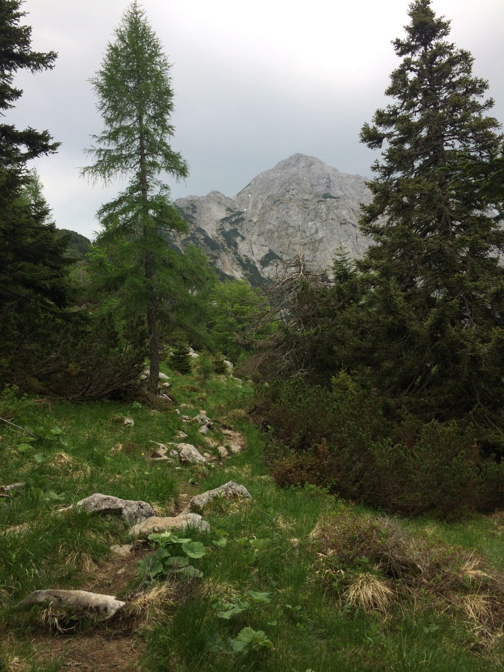 Photo 04-06-2017, 13 36 52