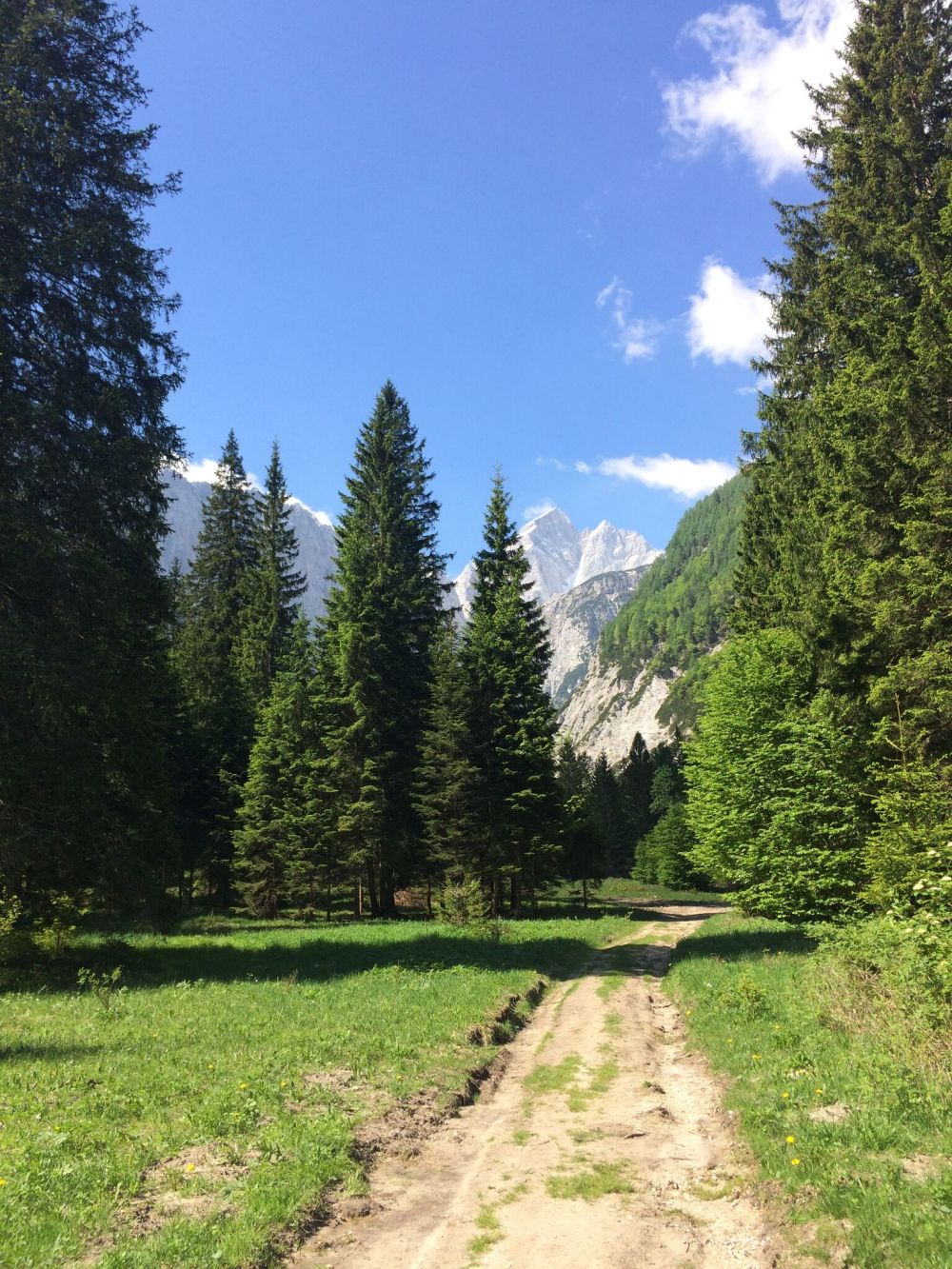 Photo 28-05-2017, 10 25 56