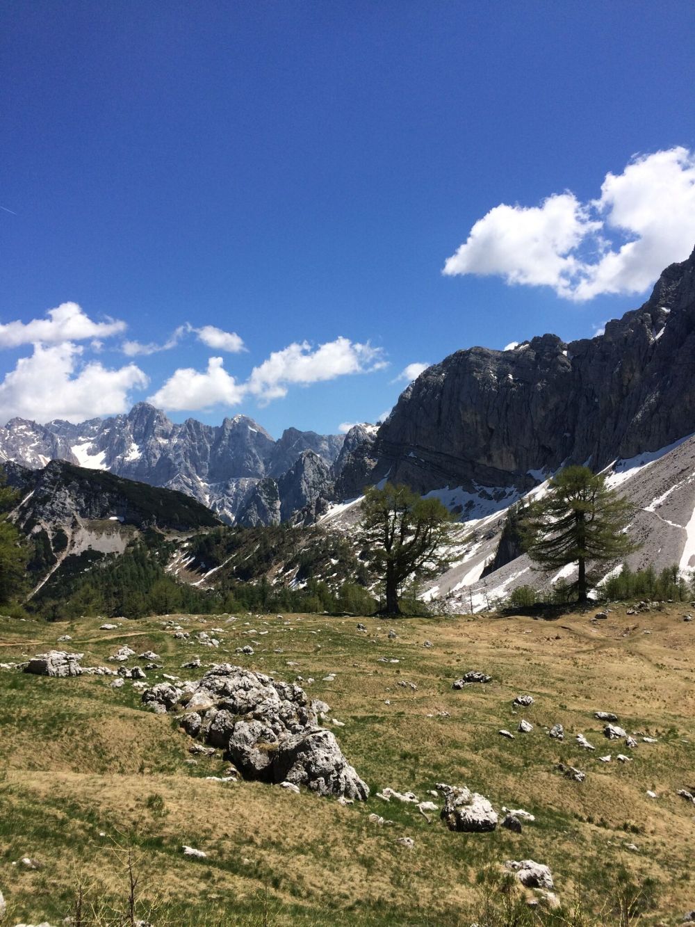 Photo 28-05-2017, 13 08 50