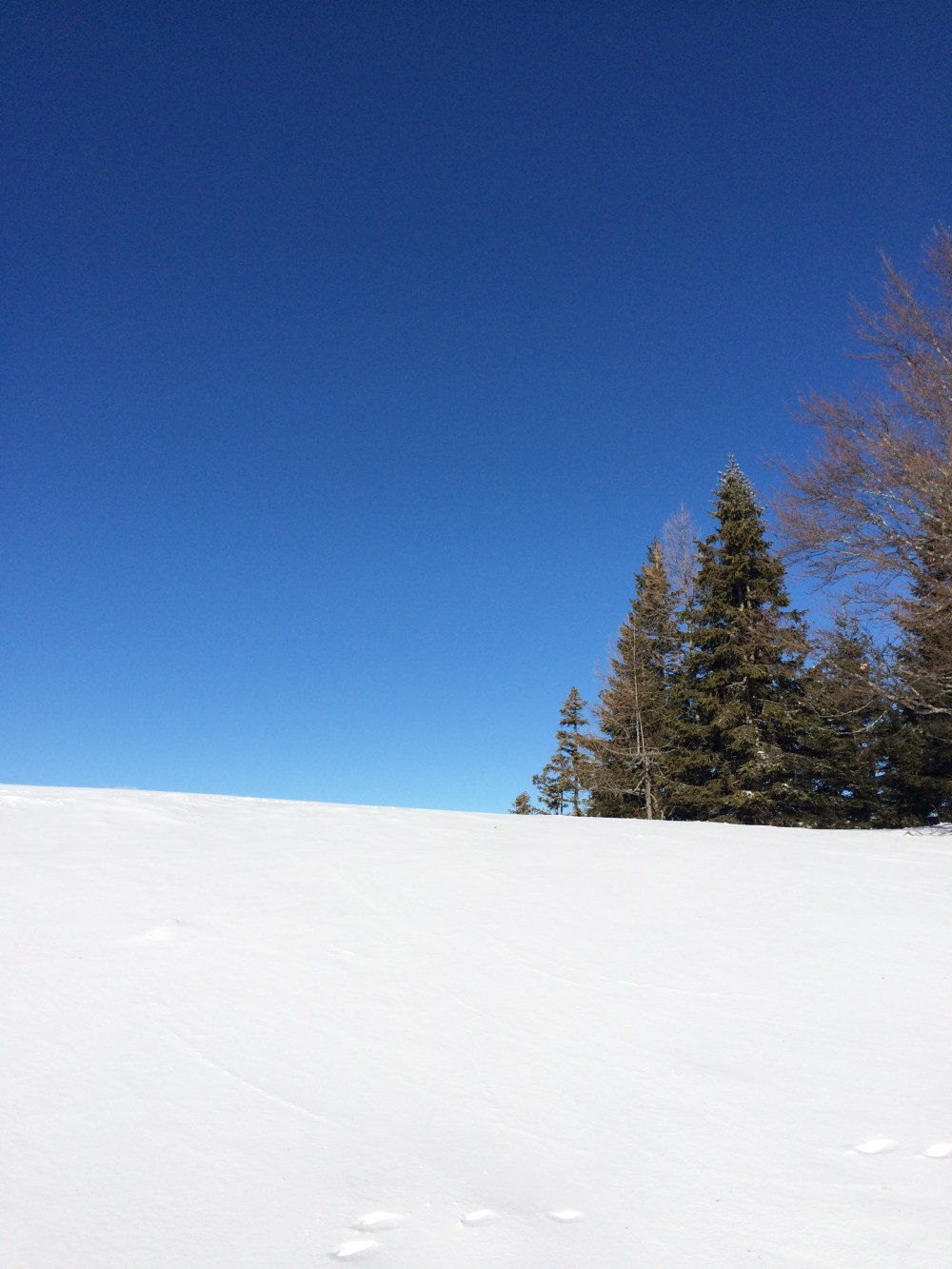 Photo 21-01-2018, 11 05 48