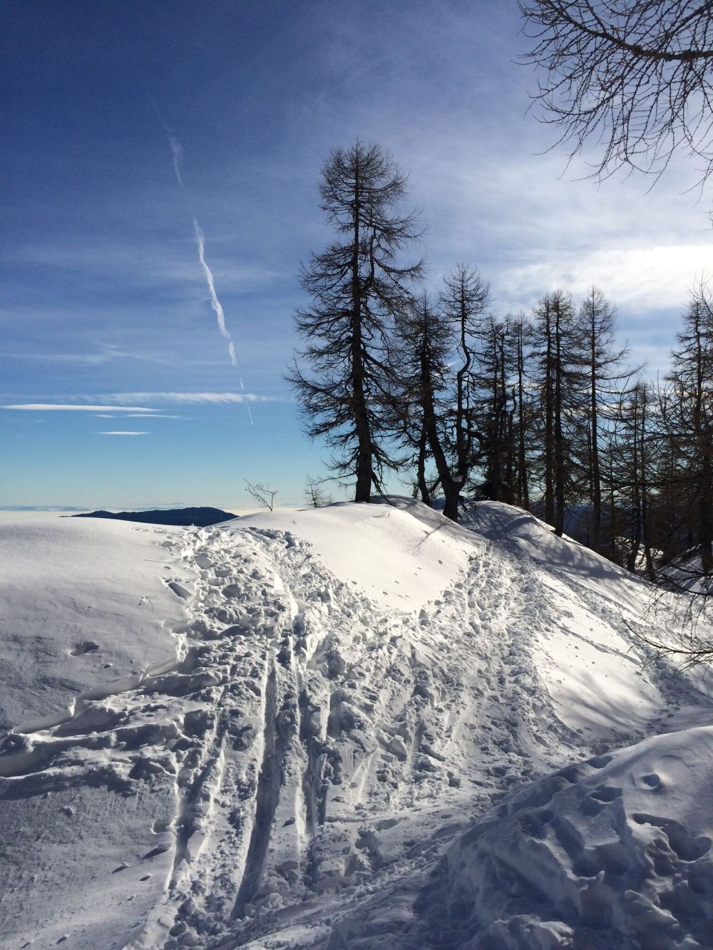 Photo 23-12-2017, 11 26 04_preview